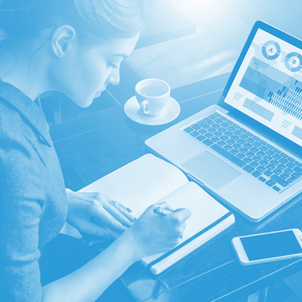 Systemutveckling och interna verktyg